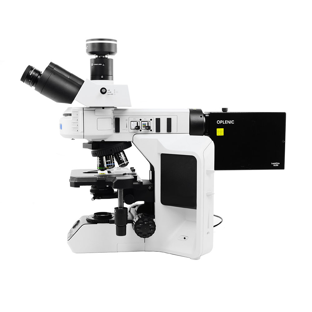 研究型荧光显微镜TX53F