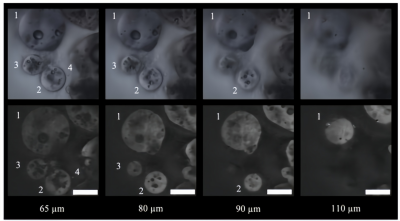 破解微塑料检测难题！拉曼技术248.6nmDeep-UV 方...