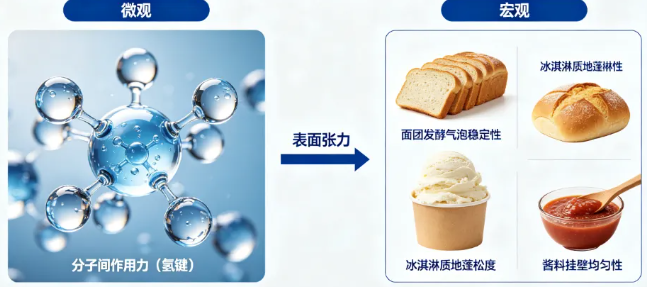 应用 | 表面张力：连接微观分子作用与宏观食品品质的关键桥梁